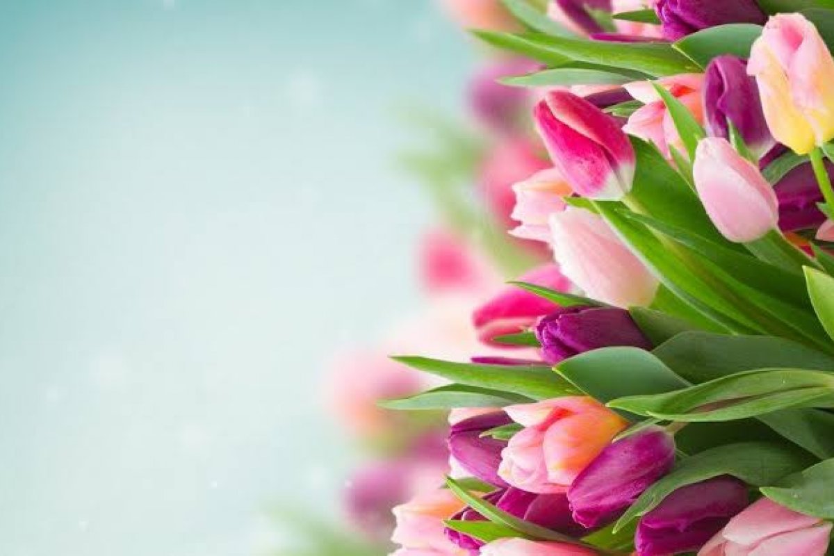 Saiba quais serão as flores de 2022!