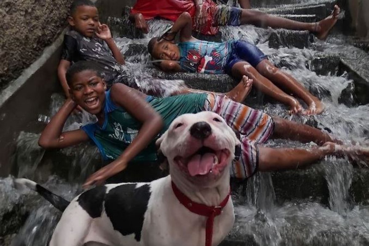 Foto de cachorro e crianças sorrindo em temporal no RJ viraliza na web