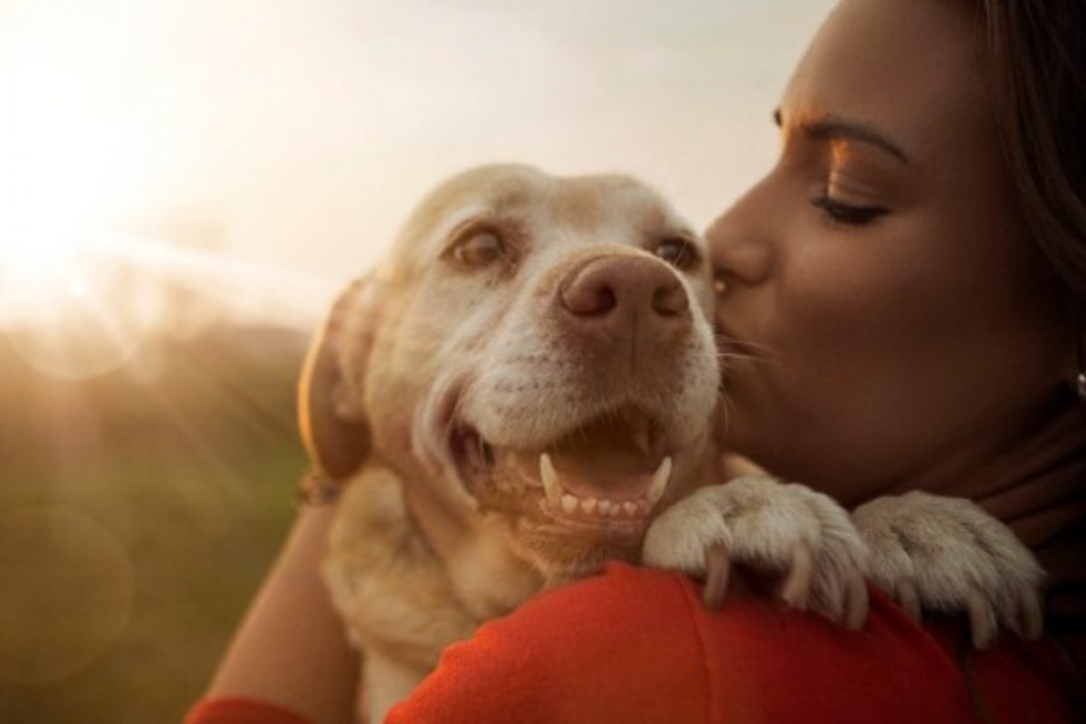 Férias de fim de ano: Onde deixar o pet?