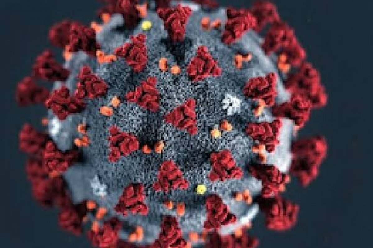 Bahia registra 1 nova morte por Covid-19 nas últimas 24 horas