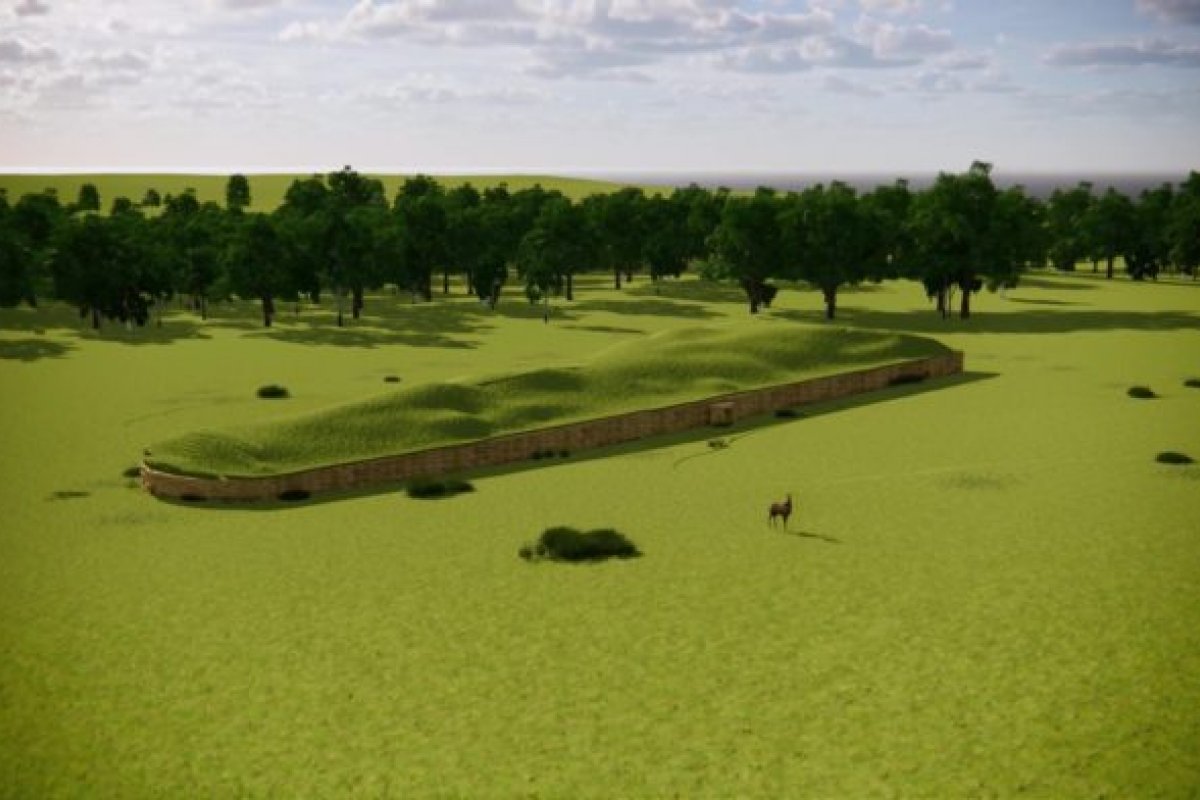 DNA revela a árvore genealógica mais antiga do mundo, diz estudo