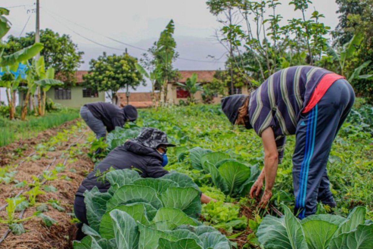 Socorro às agriculturas familiares