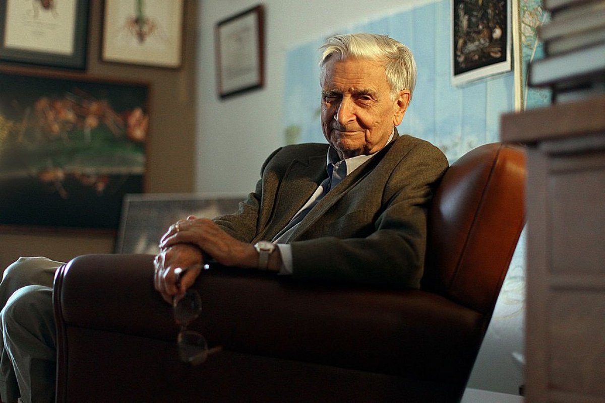  E.O. Wilson, naturalista visto como o Darwin moderno, morre aos 92 anos