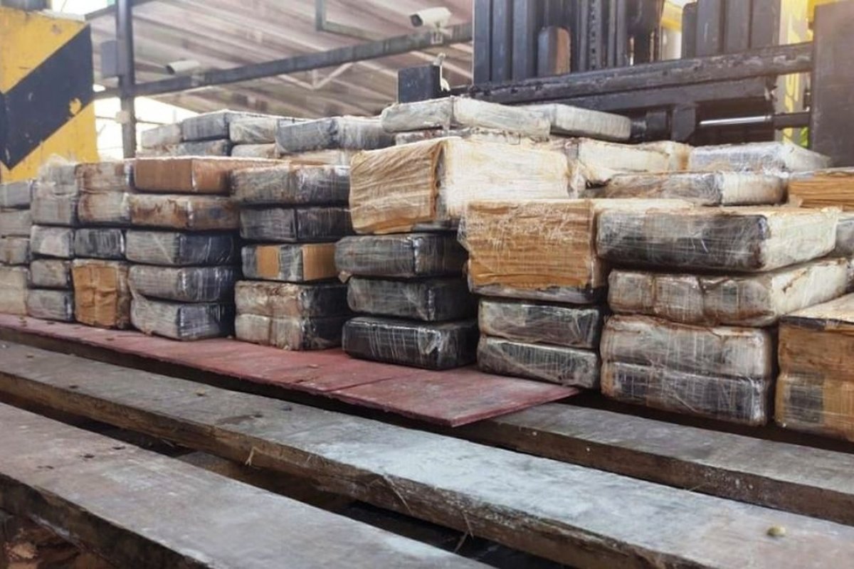 Receita Federal apreende mais de meia tonelada de cocaína em carga de café no Porto de Santos